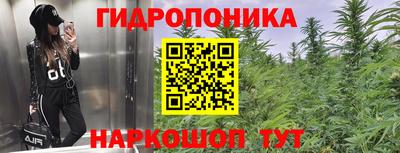 сатива Малоярославец
