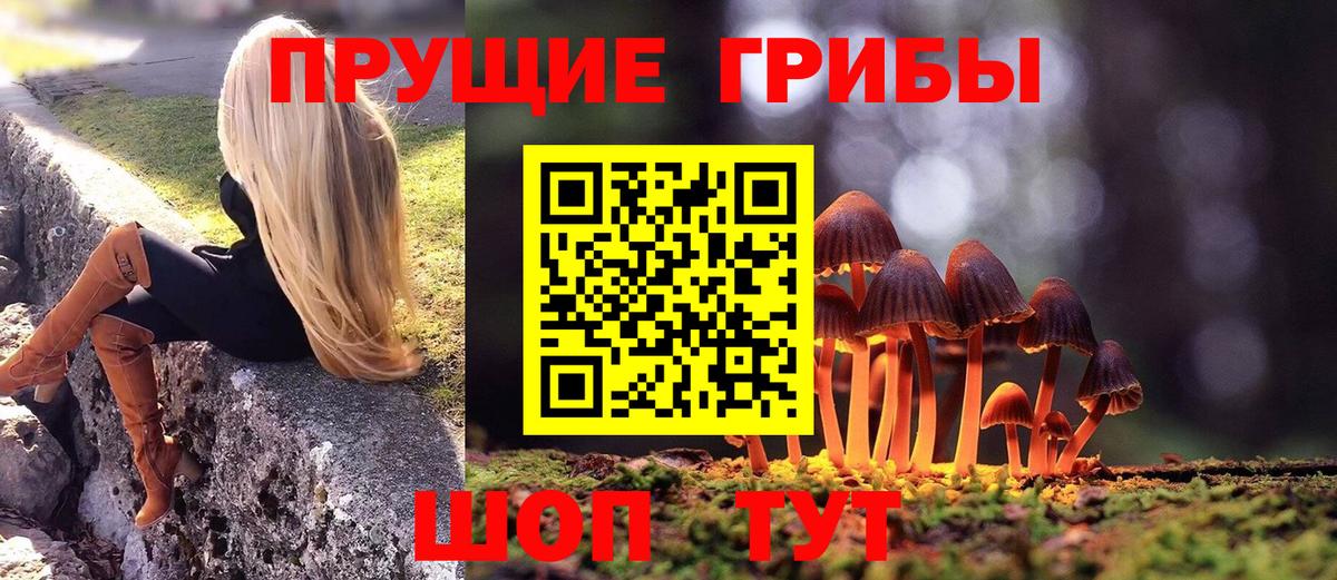 Псилоцибиновые грибы Magic Shrooms  что такое   Усть-Джегута  Псилоцибиновые грибы мухоморы  Вход с VPN 